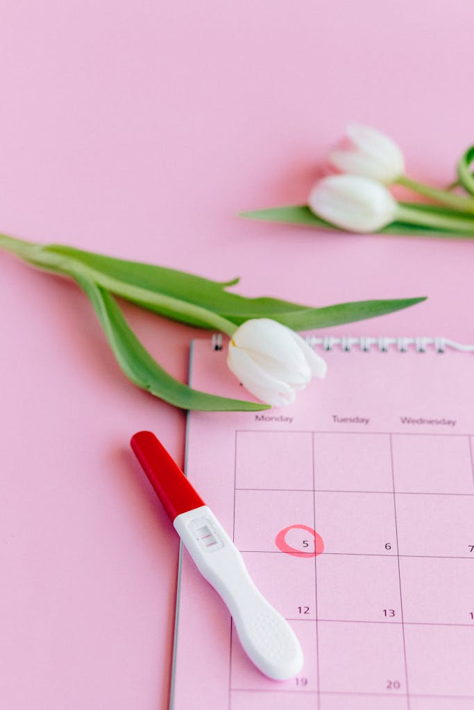 A positive pregnancy test on a pink calendar with tulips. Symbol of new beginnings.